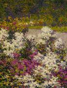 White Phlox Hugh Henry Breckenridge